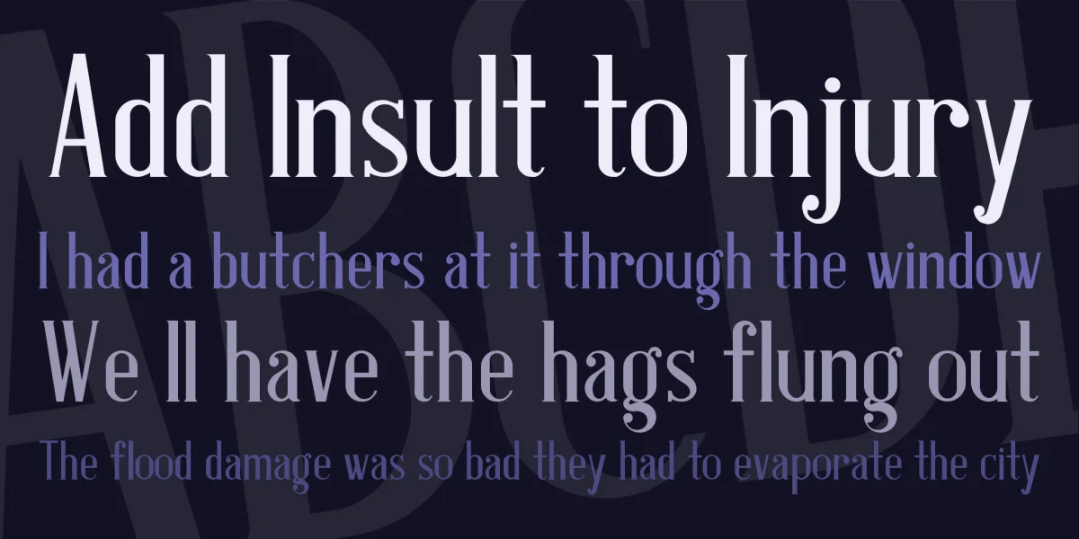 Antique Book Cover Font preview 3