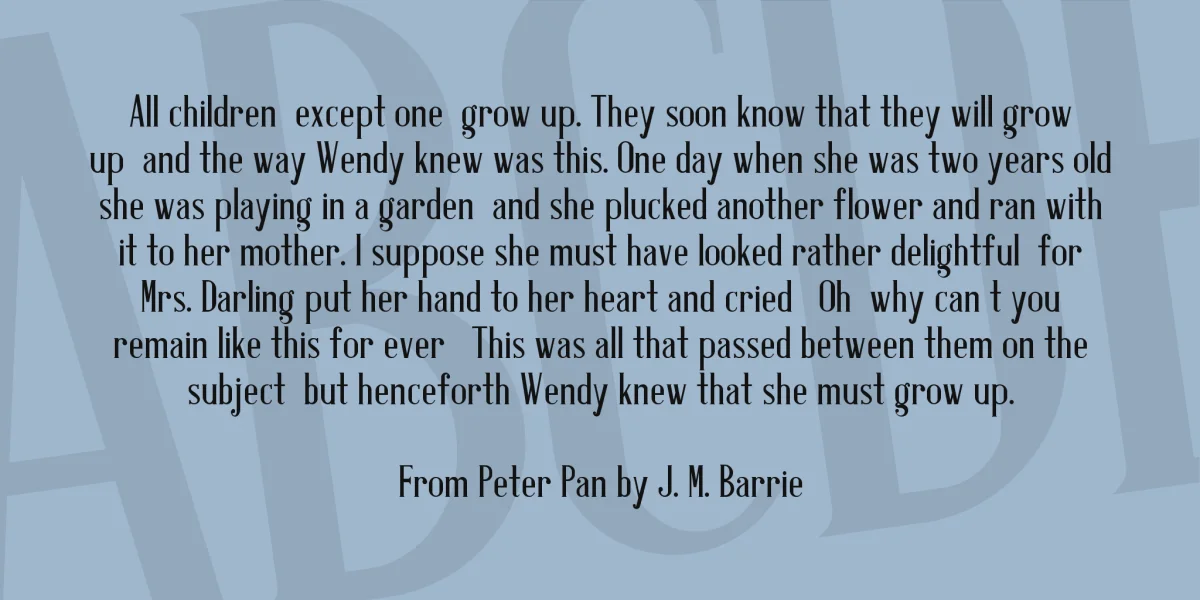 Antique Book Cover Font preview 4