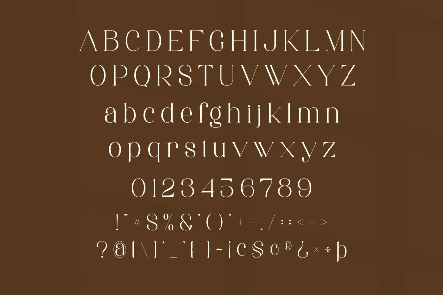 Aretha Font preview 10
