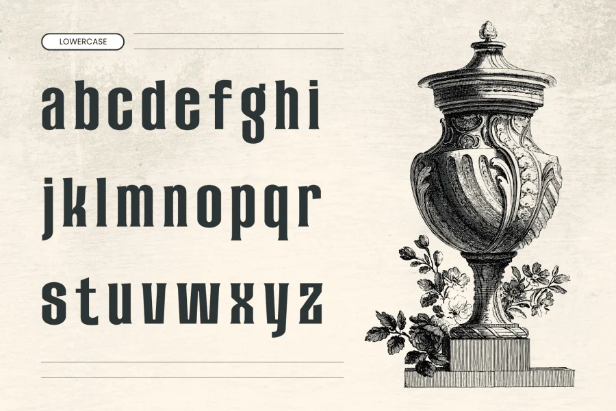 Arexa Font preview 3