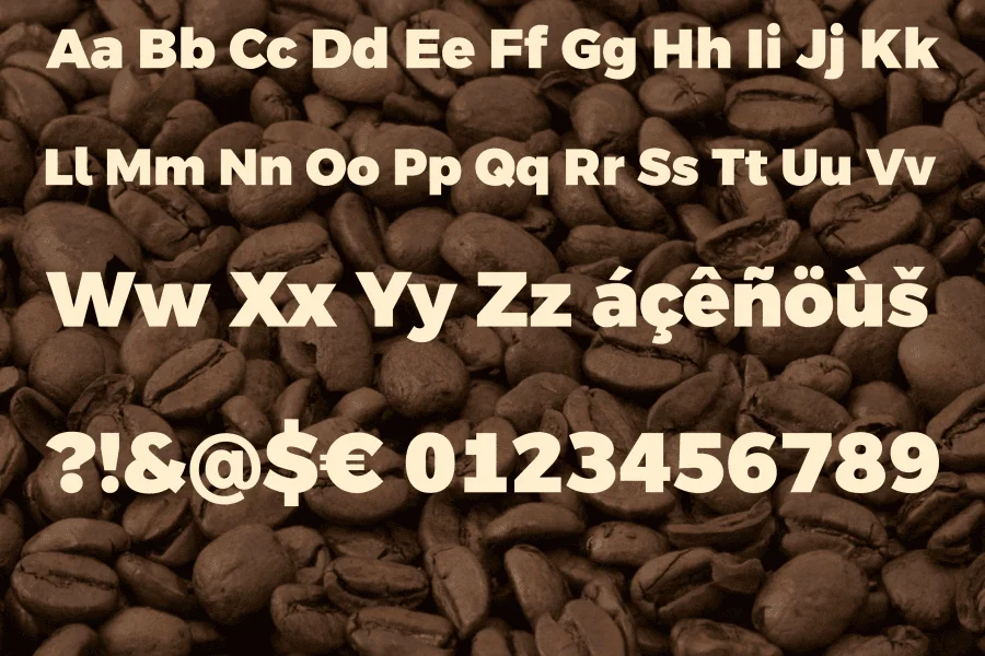 Argentum Sans Font Family preview 4