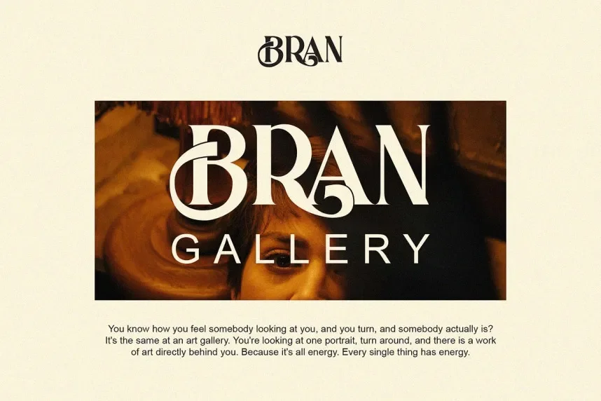 Arina Serif Font preview 3