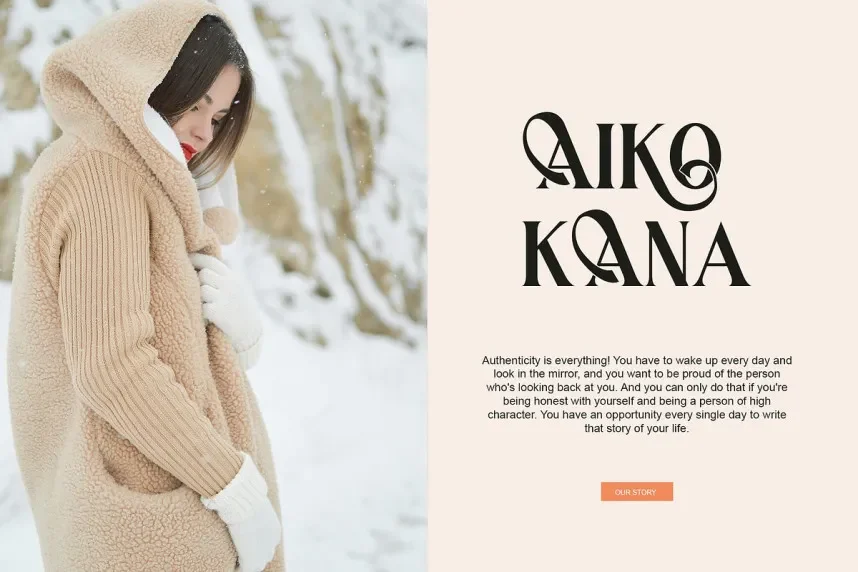 Arina Serif Font preview 5