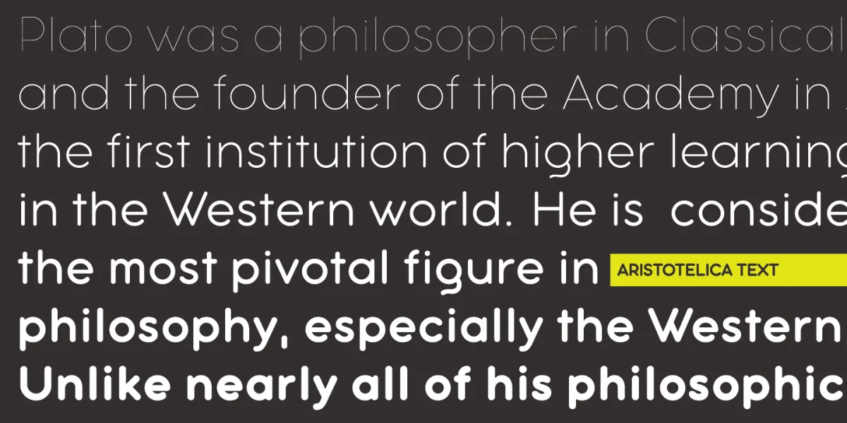 Aristotelica Font Family preview 2