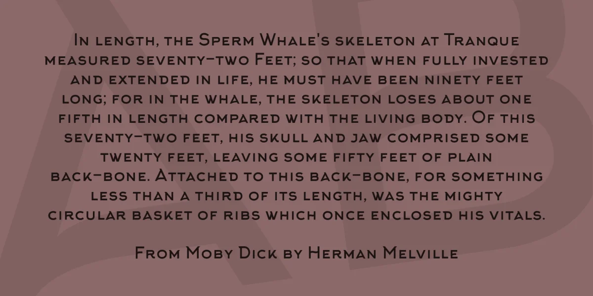 Arkhip Font preview 4
