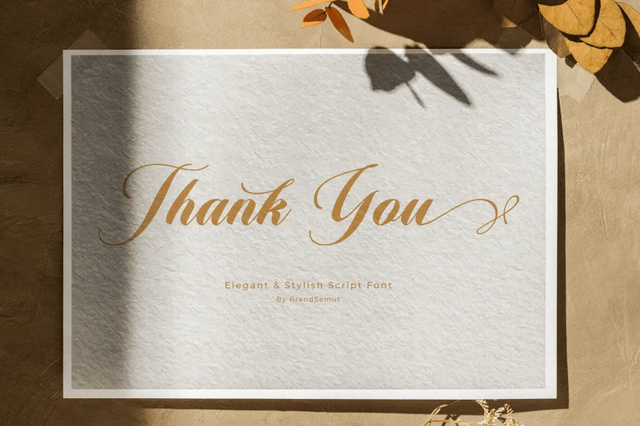 Armelie Font preview 7