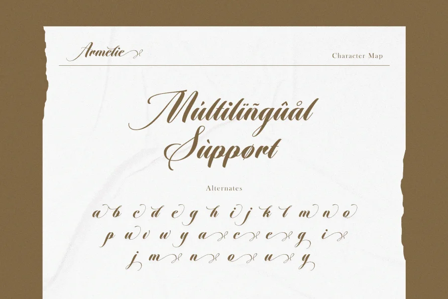 Armelie Font preview 9