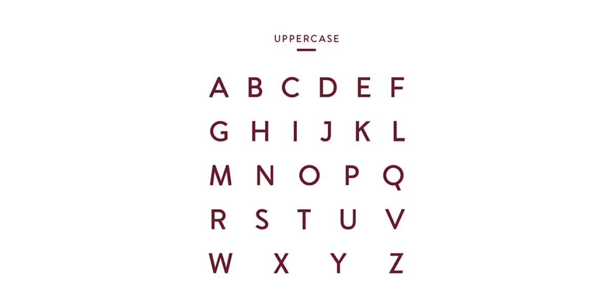 Aron Grotesque Font Family preview 3