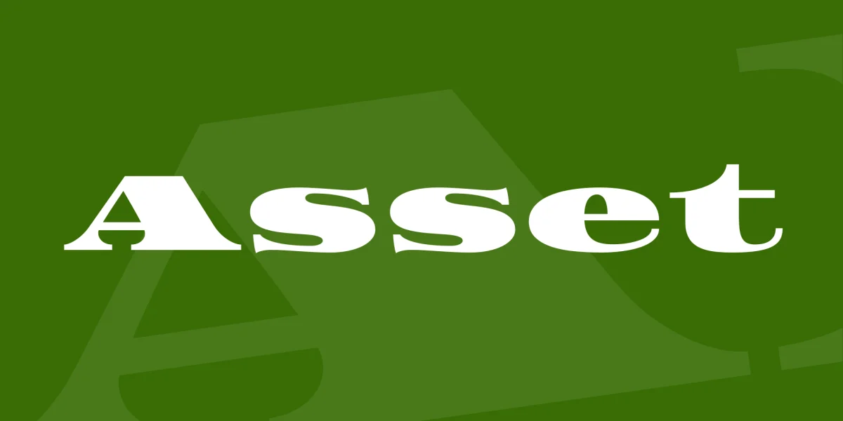 Asset Font