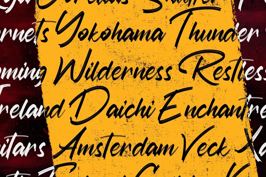 Austhind Font preview 8