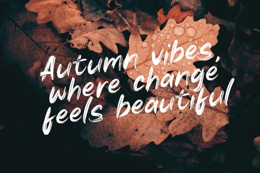 Autumn Brush Font preview 5