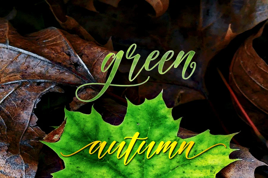 Autumn Font preview 5