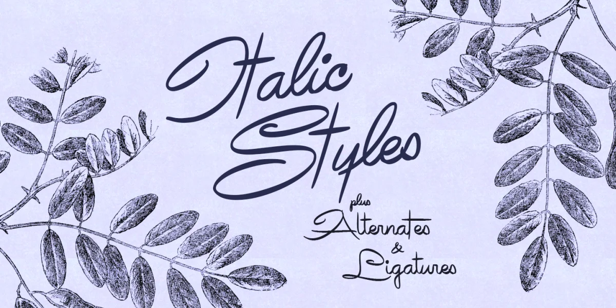 Avelana Font Family preview 3