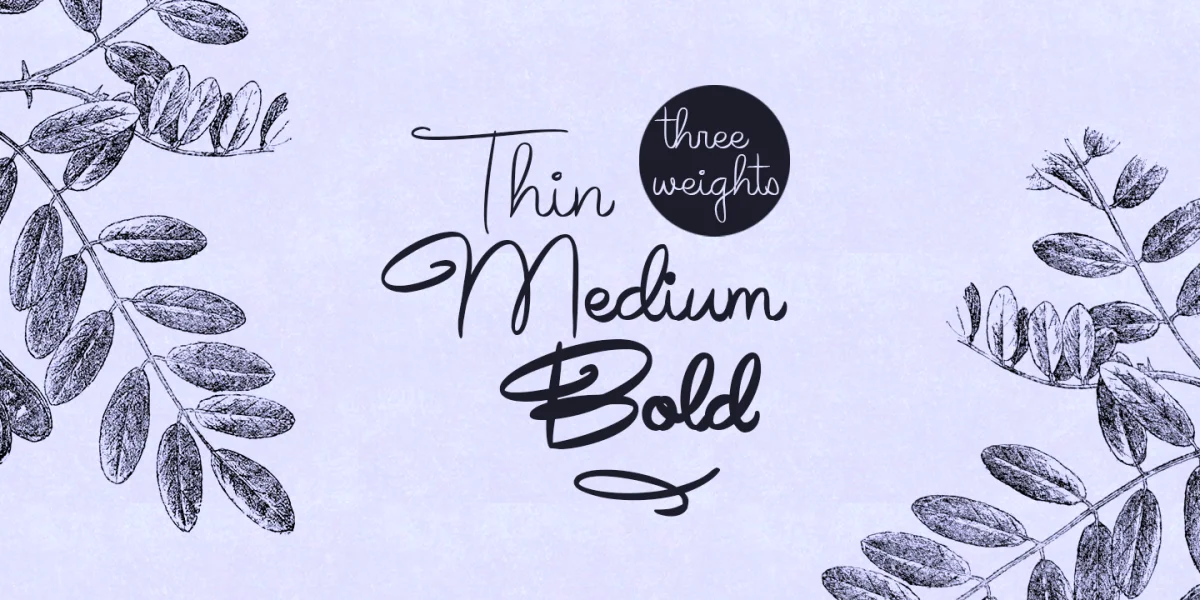 Avelana Font Family preview 4