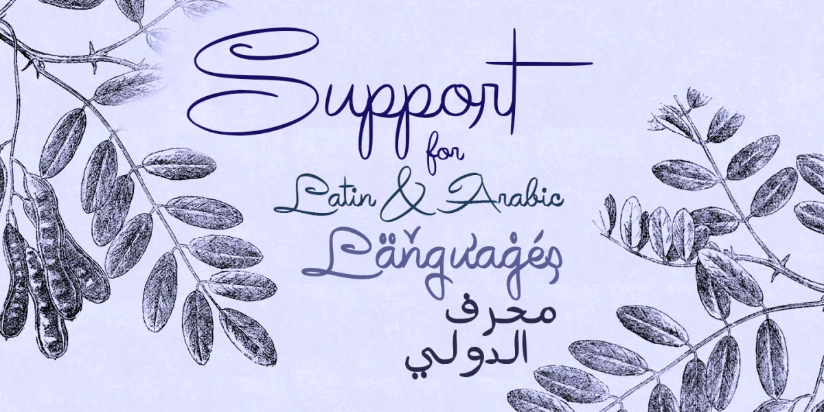 Avelana Font Family preview 5