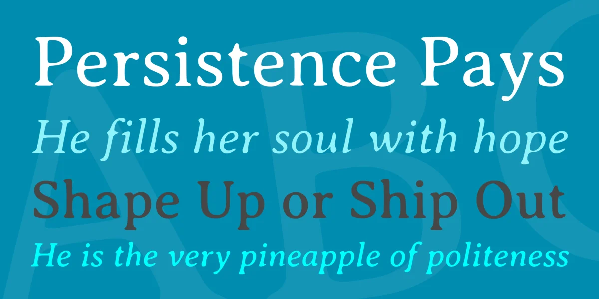 Averia Serif Libre Font Family preview 2