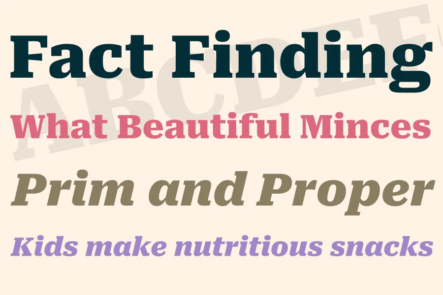 Avrile Serif Font Family preview 2