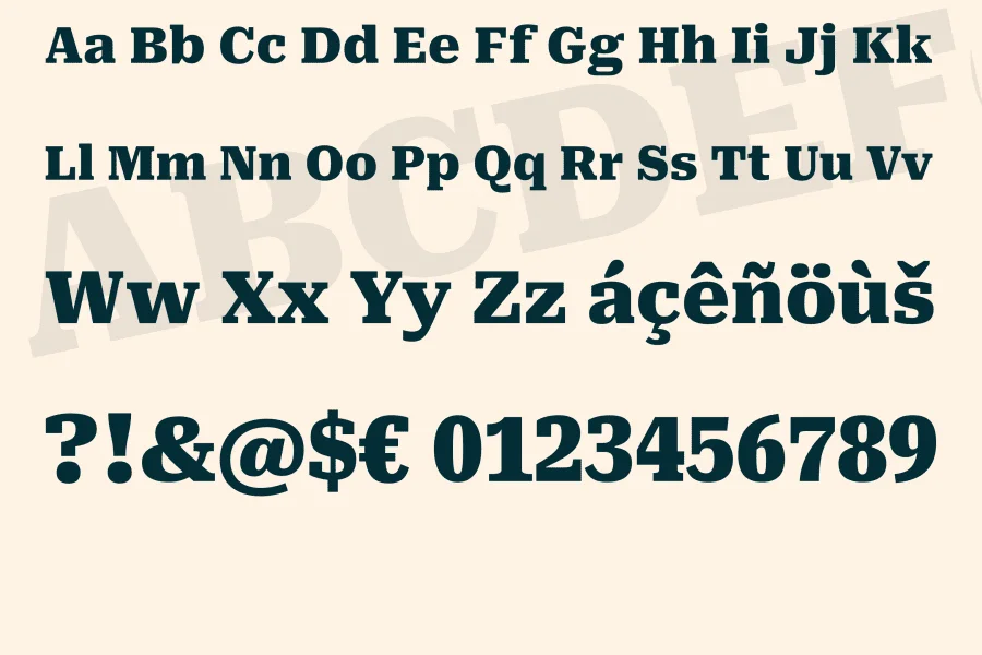 Avrile Serif Font Family preview 4