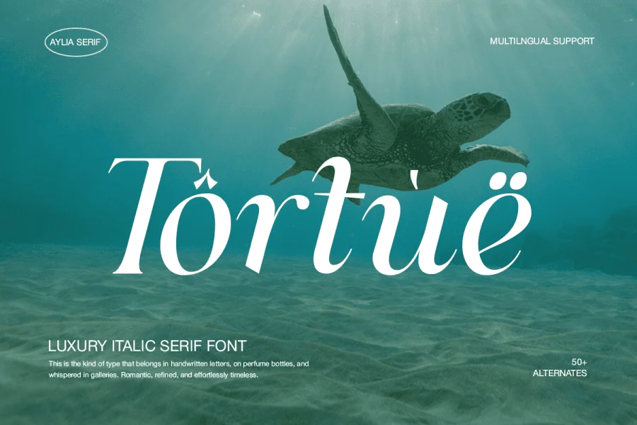 Aylia DEMO Font preview 4
