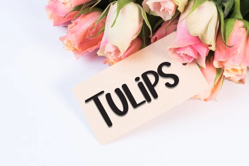 Baby Boho Playful Font preview 6