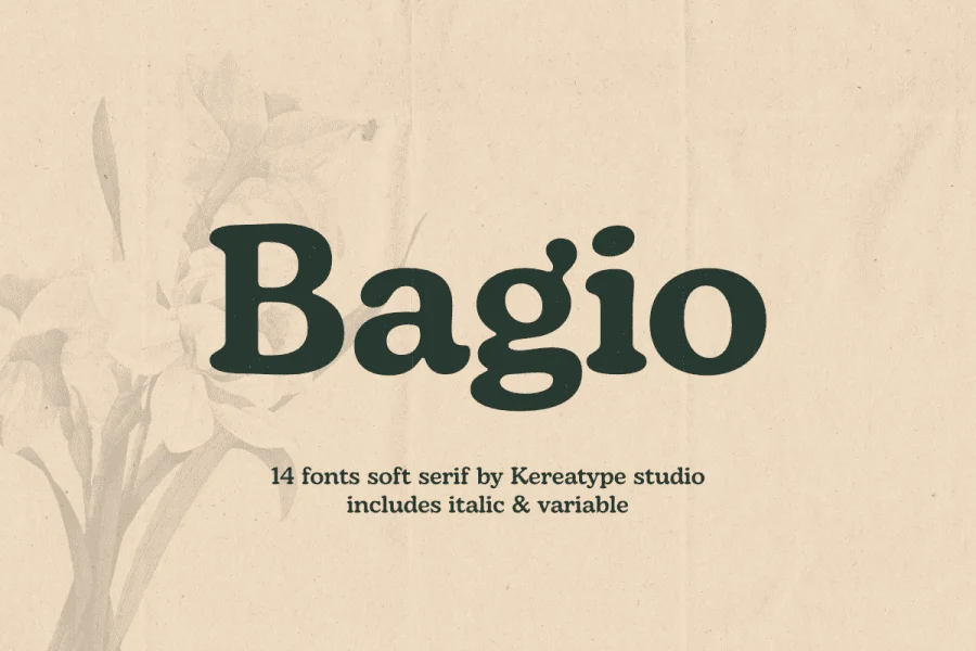 Bagio Demo Font Family