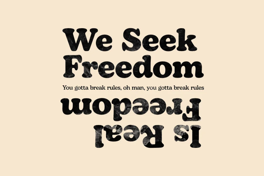 Bagio Demo Font Family preview 11