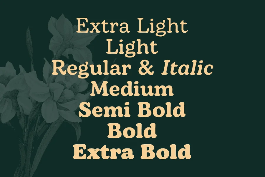 Bagio Demo Font Family preview 4