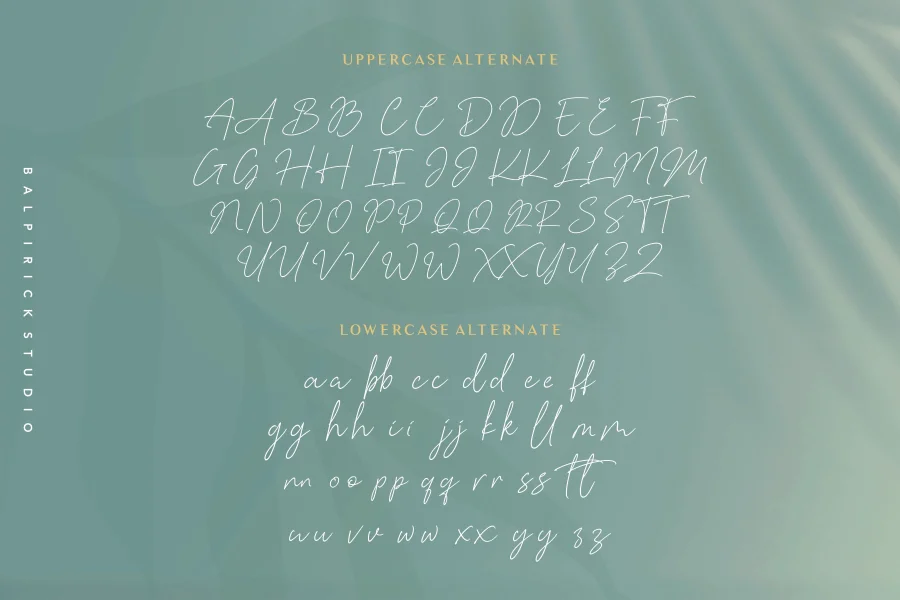 Baldive Font preview 7