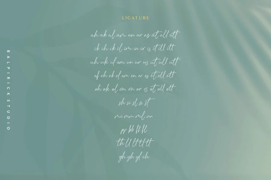 Baldive Font preview 8