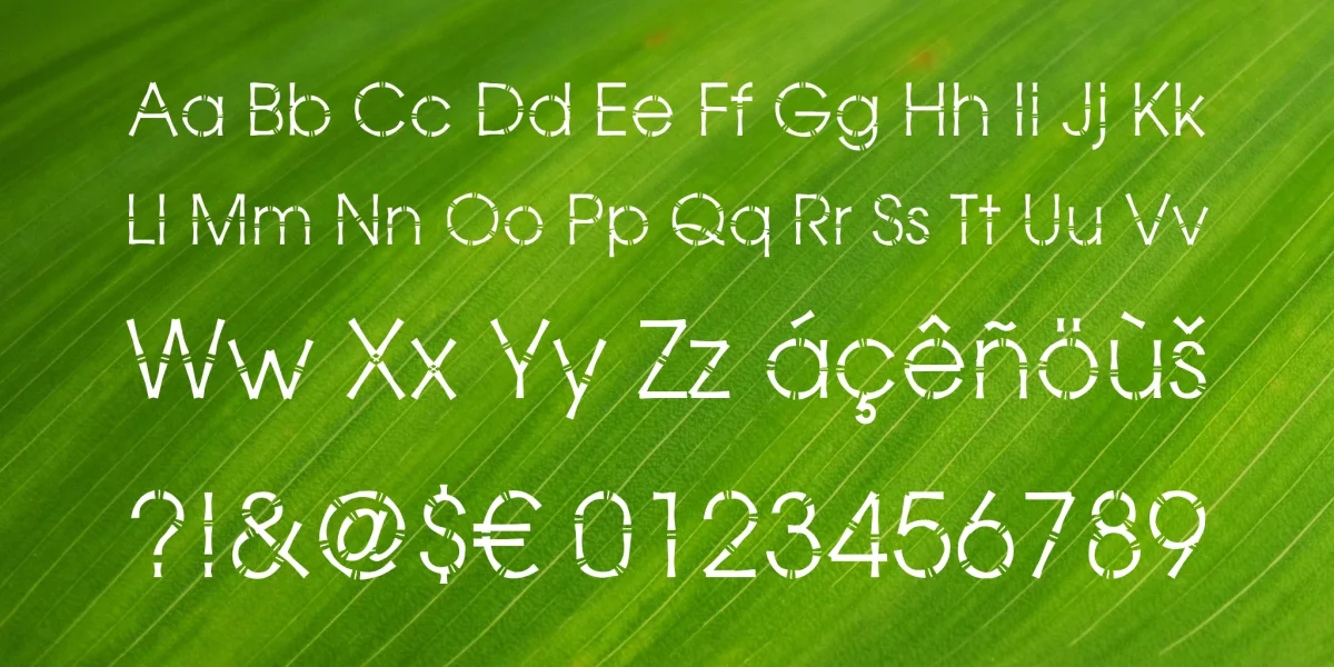 Bamboo Gothic Font preview 4