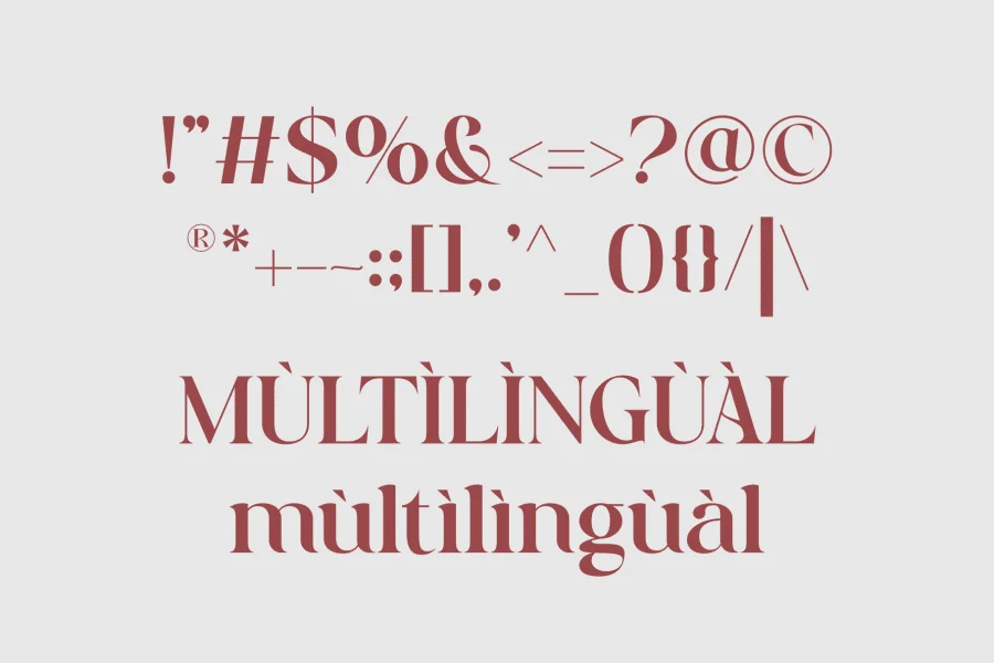 Bareya Font preview 9