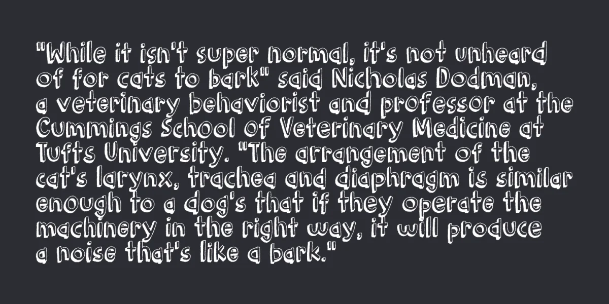 Barking Cat DEMO Font preview 3
