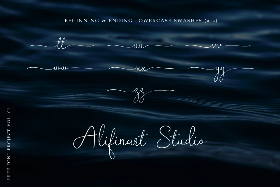 Barokah Signature Font preview 11