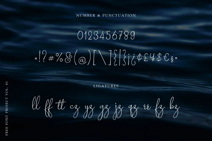 Barokah Signature Font preview 9