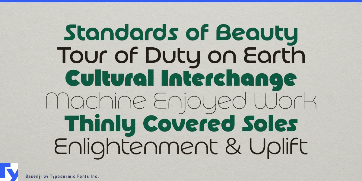 Basenji Font Family preview 3