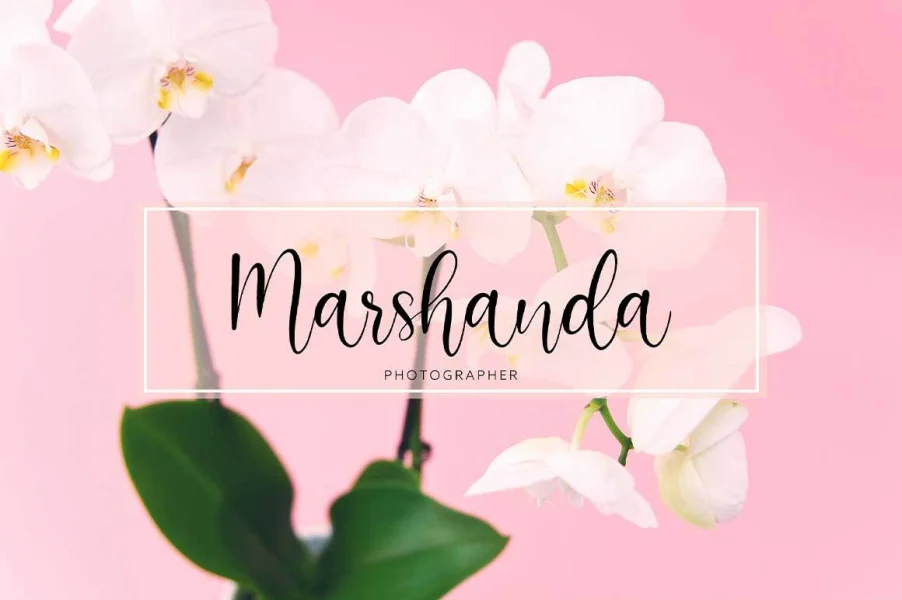 Beauty Mothers Font preview 3