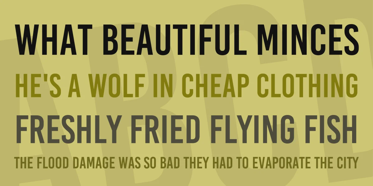 Bebas Kai Font preview 5