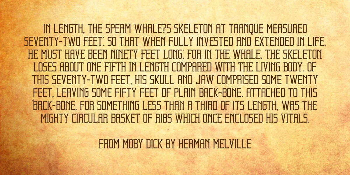 Beholder Font Family preview 4