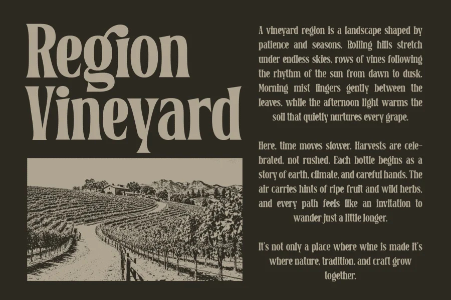 Belgino Font preview 8