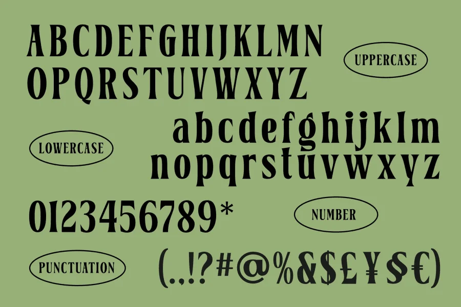 Belgino Font preview 9