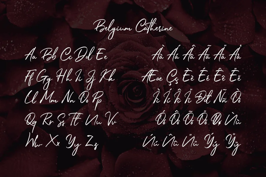 Belgium Catherine Font Family preview 7