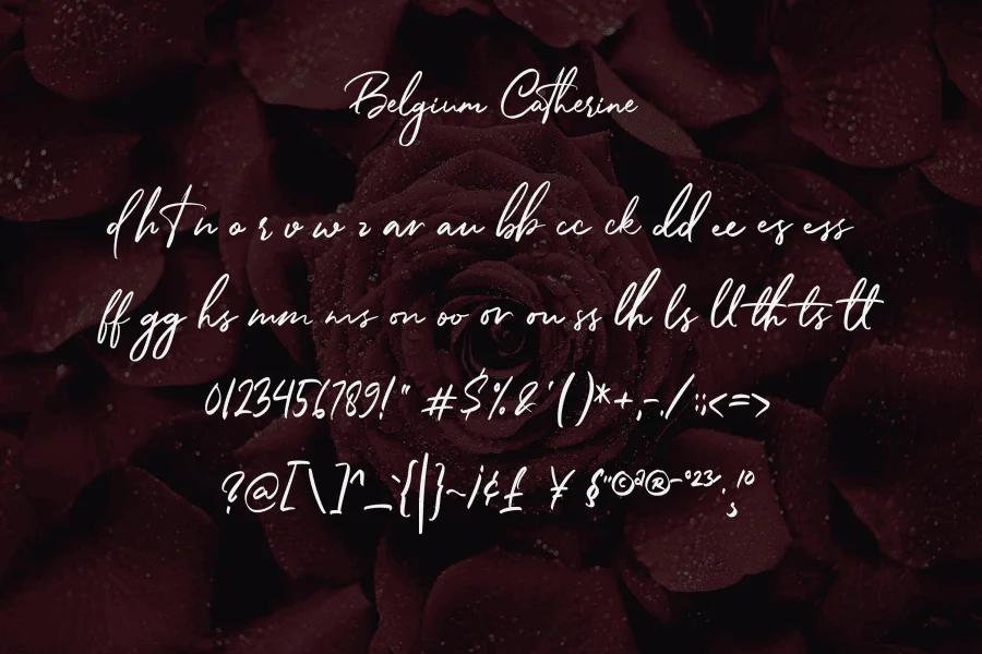 Belgium Catherine Font Family preview 8