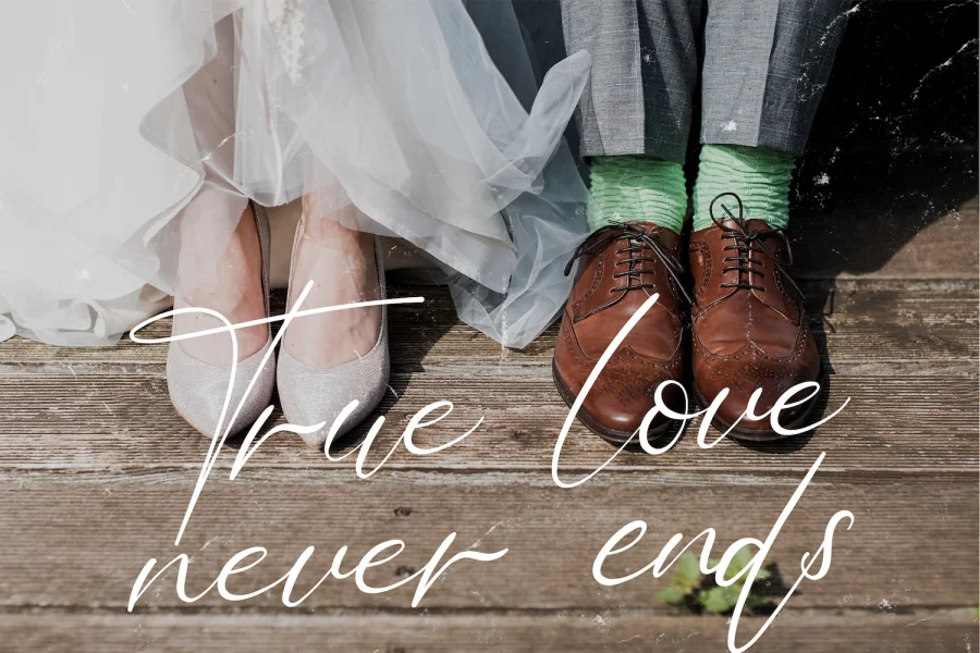 Bellamy Signature Font preview 11