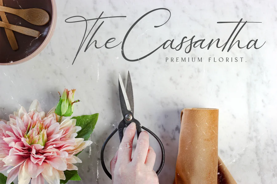 Bellamy Signature Font preview 13