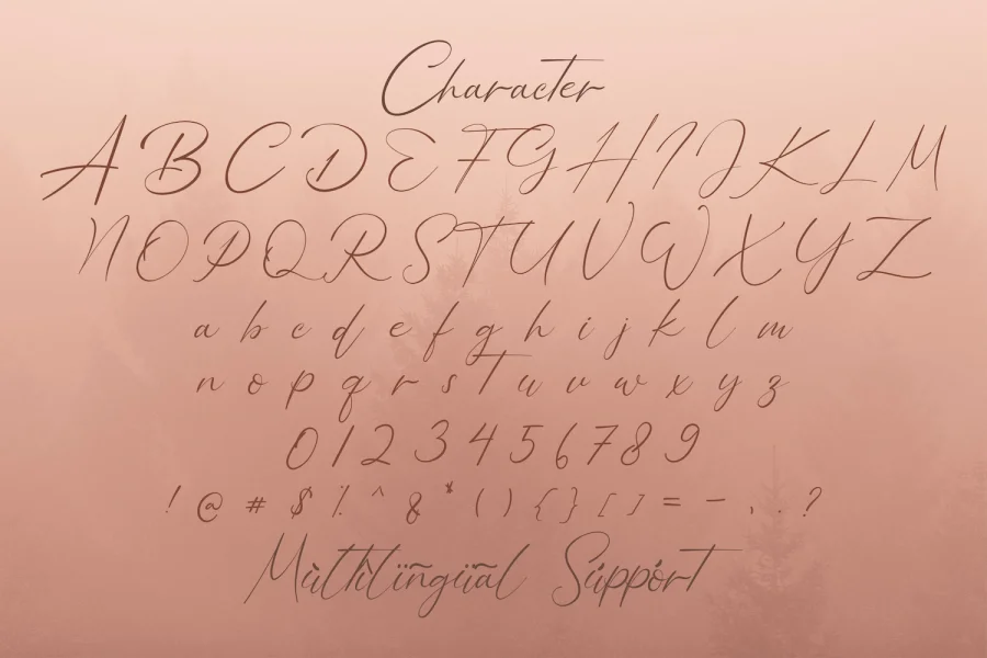 Bellamy Signature Font preview 14