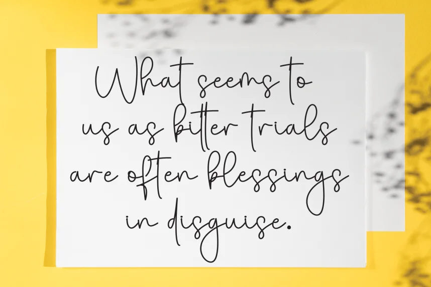 Berliana Creative Simple Handwritten Font preview 4