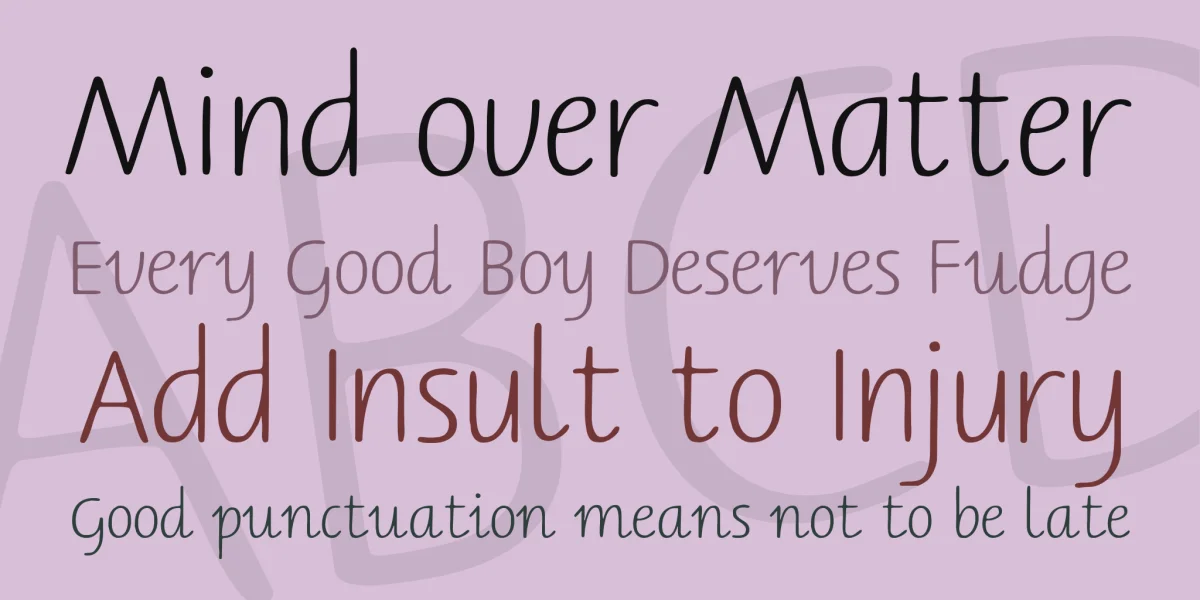 Berner Basisschrift Font Family preview 2