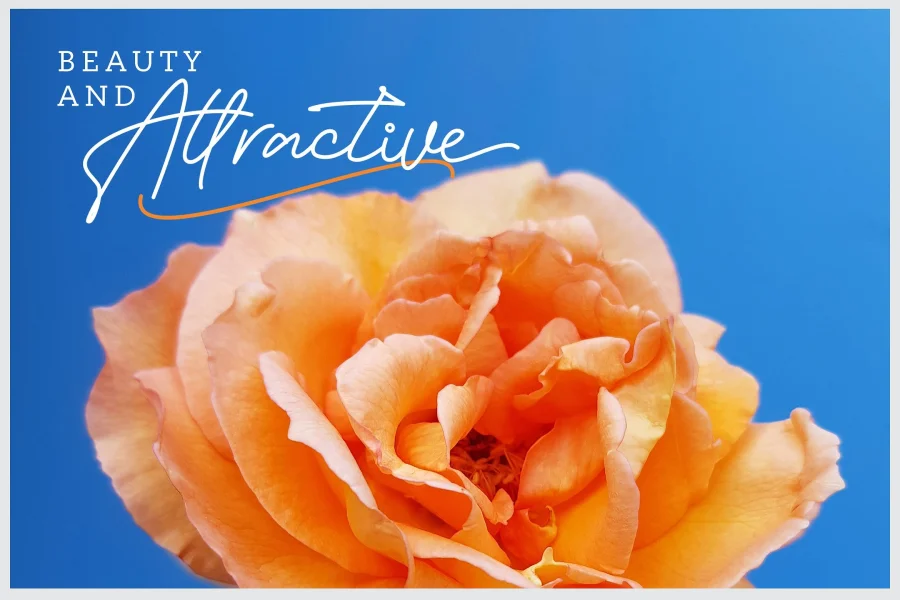 Bessita Handwriting Free Font preview 8