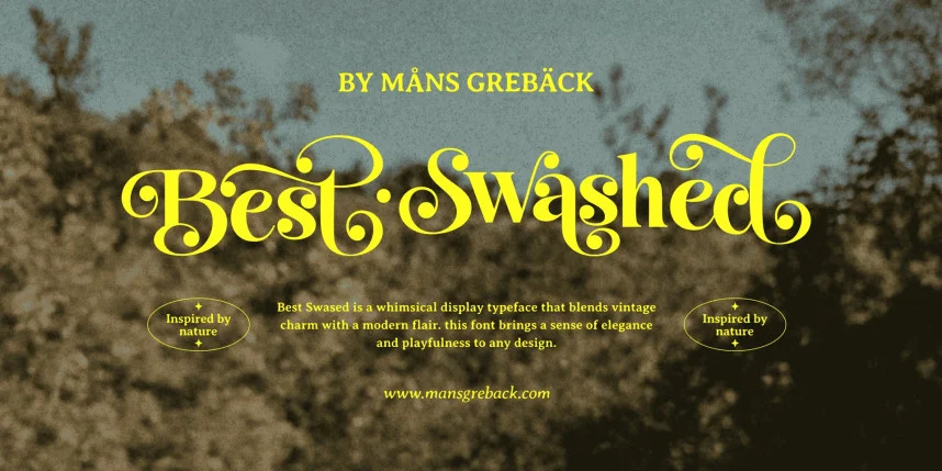 Best Swashed Font