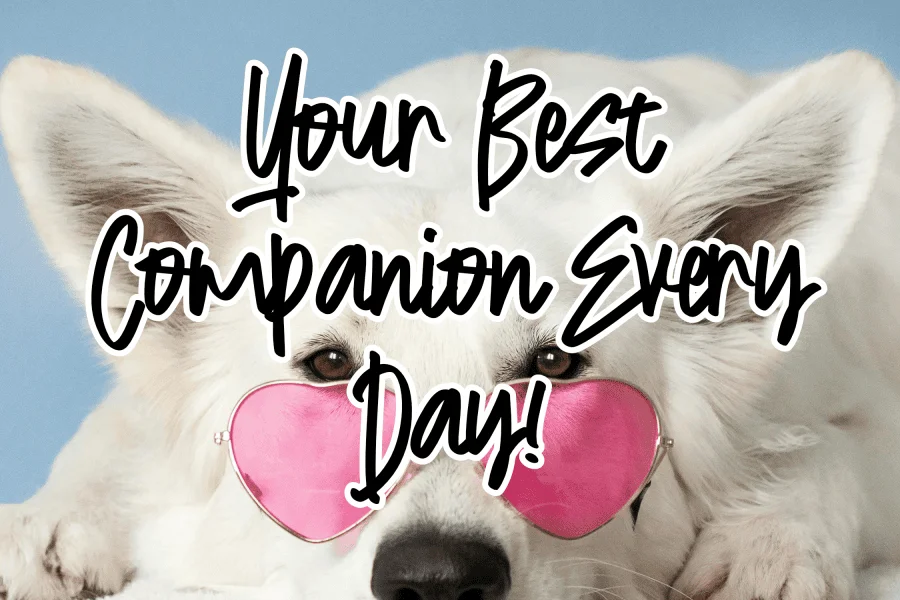 Bestie Seventy Font preview 2